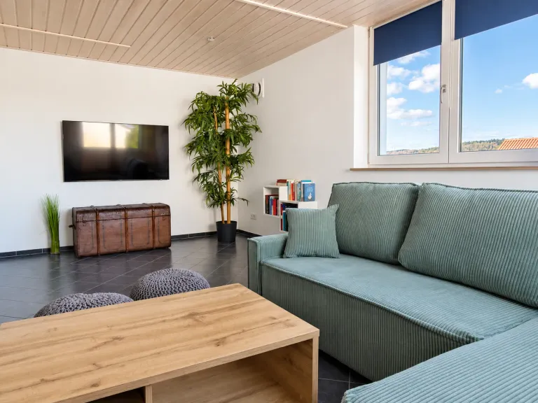 Grünes Sofa, Fernseher und Bücher im Wohnbereich – AVIVA Seepanorama in Bodman