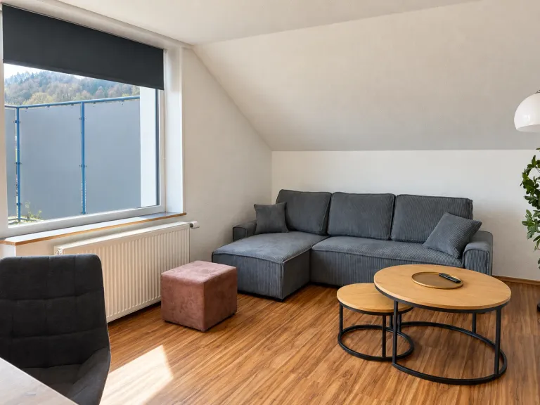 Wohnbereich mit Sofa und Esstisch – AVIVA Sonnendeck in Bodman