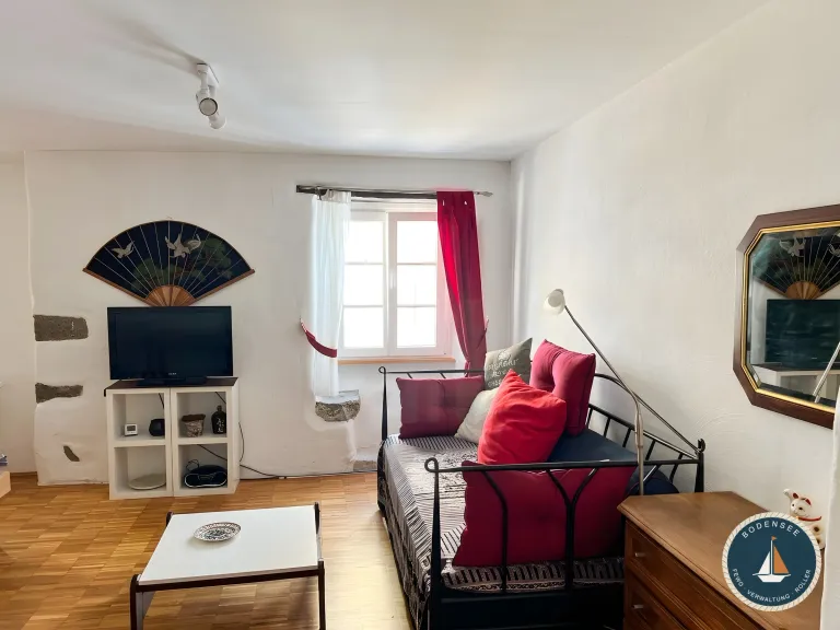 Sitzecke mit Fernseher im Zum Hinteren Kranich in Konstanz – Zum Hinteren Kranich in Konstanz